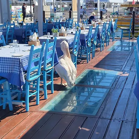 Pj's Apartment, Paphos, Cyprus Daire *